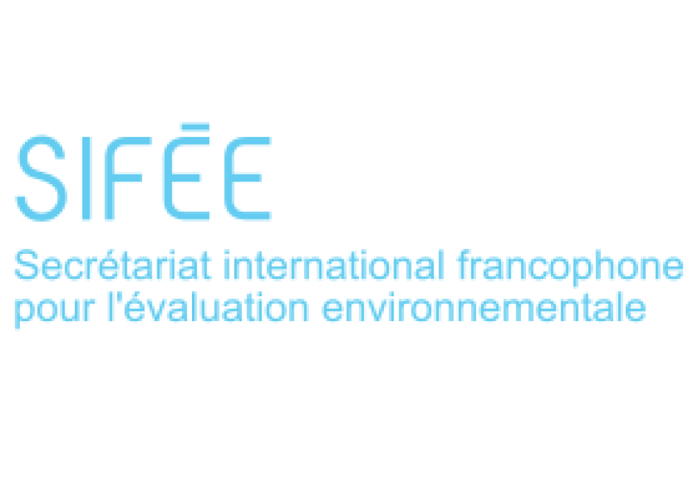 Journée de formation - ÉES et planification du développement minier en Afrique